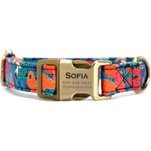 imagePersonalized Dog Collar with Name and Phone Number EngravedAdjustable Custom Puppy CollarOrganic Cotton Pet Collar for Small Medium Large Boy Girl DogsSeaworld