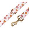 imageOrganic Cotton Dog Leash for SmallMedium and Large BreedBrass Hardware Pet Leash for WalkingRunning and Training 6FTLove Halloween