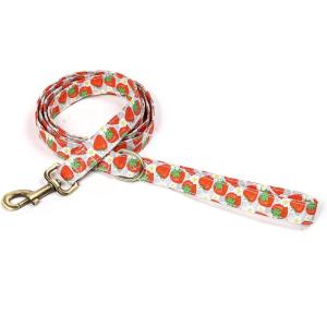 imageOrganic Cotton Dog Leash for SmallMedium and Large BreedBrass Hardware Pet Leash for WalkingRunning and Training 6FTDancing Srawberries