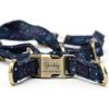 imageAngie and Allie Organic Cotton Personalized Step in Dog Harness with Brass BuckleCustom Dog Halter VestsAdjustable No Pull Canine Halter Harness for Small Medium Large DogsGalaxy Stars