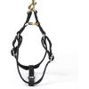 imageAngie and Allie Organic Cotton Personalized Step in Dog Harness with Brass BuckleCustom Dog Halter VestsAdjustable No Pull Canine Halter Harness for Small Medium Large DogsBlack