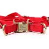 imageAngie and Allie Organic Cotton Personalized Step in Dog Harness with Brass BuckleCustom Dog Halter VestsAdjustable No Pull Canine Halter Harness for Small Medium Large DogsPoinciana Red