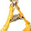 imageAngie and Allie Organic Cotton Personalized Step in Dog Harness with Brass BuckleCustom Dog Halter VestsAdjustable No Pull Canine Halter Harness for Small Medium Large DogsHobo Rainbow