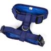 imageAngie and Allie Organic Cotton Dog HarnessNo Pull Pet Harness with Leash DRingAdjustable Soft Padded Dog VestComfortableSustainableBreathable and Stylish for Your Canine CompanionRoyal Blue