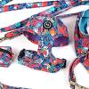 imageAngie and Allie Organic Cotton Dog HarnessNo Pull Pet Harness with Leash DRingAdjustable Soft Padded Dog VestComfortableSustainableBreathable and Stylish for Your Canine CompanionSeaworld