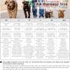 imageAngie and Allie Organic Cotton Dog HarnessNo Pull Pet Harness with Leash DRingAdjustable Soft Padded Dog VestComfortableSustainableBreathable and Stylish for Your Canine CompanionBouquet Blue