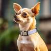 imagePersonalized Dog Collar with Name and Phone Number EngravedAdjustable Custom Puppy CollarOrganic Cotton Pet Collar for Small Medium Large Boy Girl DogsWhite