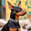 imagePersonalized Dog Collar with Name and Phone Number EngravedAdjustable Custom Puppy CollarOrganic Cotton Pet Collar for Small Medium Large Boy Girl DogsShepherd Black  White