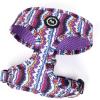 Stripes ethnic