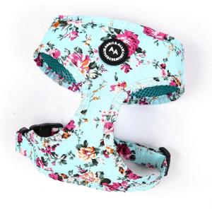 imageAngie and Allie Organic Cotton Dog HarnessNo Pull Pet Harness with Leash DRingAdjustable Soft Padded Dog VestComfortableSustainableBreathable and Stylish for Your Canine CompanionBouquet Blue