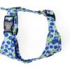 image:imageAngie and Allie Organic Cotton Dog HarnessNo Pull Pet Harness with DRingAdjustable Soft Padded Breathable Dog Vest for Walking Running TrainingBlueberry