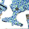 image:imageAngie and Allie Organic Cotton Dog HarnessNo Pull Pet Harness with DRingAdjustable Soft Padded Breathable Dog Vest for Walking Running TrainingBlueberry
