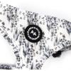 image:imageAngie and Allie Organic Cotton Dog HarnessNo Pull Pet Harness with DRingAdjustable Soft Padded Breathable Dog Vest for Walking Running TrainingEucalyptus