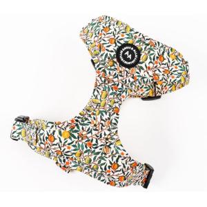 image:imageAngie and Allie Organic Cotton Dog HarnessNo Pull Pet Harness with DRingAdjustable Soft Padded Breathable Dog Vest for Walking Running TrainingPomegranate