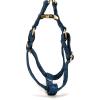 image:imageAngie and Allie Organic Cotton Personalized Step in Dog HarnessCustom Dog Halter VestsAdjustable No Pull Canine Halter Harness for Small Medium Large DogsMarigold