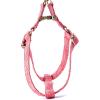 image:imageAngie and Allie Organic Cotton Personalized Step in Dog HarnessCustom Dog Halter VestsAdjustable No Pull Canine Halter Harness for Small Medium Large DogsLarkspur