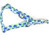 image:imageAngie and Allie Organic Cotton Personalized Step in Dog HarnessCustom Dog Halter VestsAdjustable No Pull Canine Halter Harness for Small Medium Large DogsBlueberry