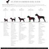 image:imageAngie and Allie Organic Cotton Personalized Step in Dog HarnessCustom Dog Halter VestsAdjustable No Pull Canine Halter Harness for Small Medium Large DogsLumber Jack