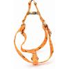 image:imageAngie and Allie Organic Cotton Personalized Step in Dog HarnessCustom Dog Halter VestsAdjustable No Pull Canine Halter Harness for Small Medium Large DogsMagic Halloween
