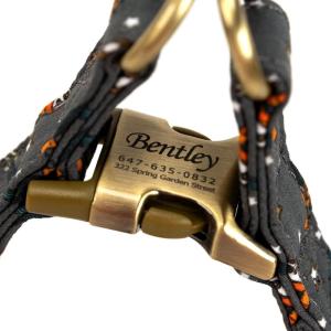 image:imageAngie and Allie Organic Cotton Personalized Step in Dog HarnessCustom Dog Halter VestsAdjustable No Pull Canine Halter Harness for Small Medium Large DogsGuitar
