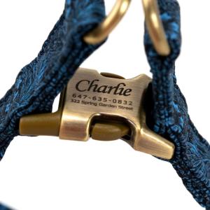 image:imageAngie and Allie Organic Cotton Personalized Step in Dog HarnessCustom Dog Halter VestsAdjustable No Pull Canine Halter Harness for Small Medium Large DogsMarigold